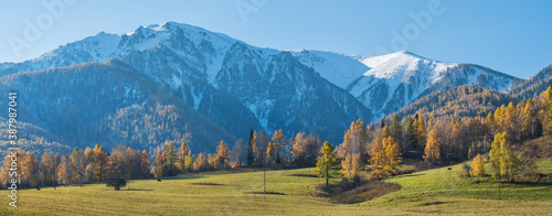 Panoramic autumn view, sunny day. Meadow, forests and snow-capped peaks. 