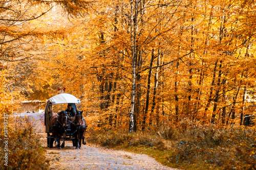 Herbstliche Impressionen aus Schleswig-Holstein im Oktober.