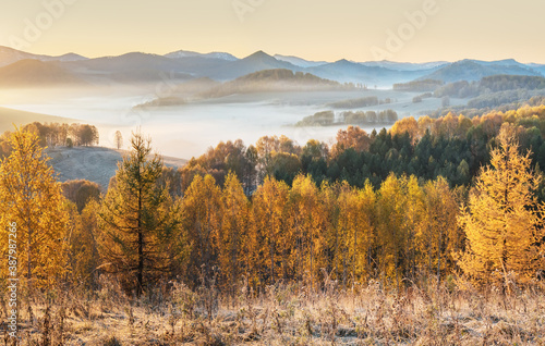 Picturesque autumn view. Morning fog over a mountain valley, golden autumn.