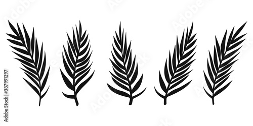 Set of palm leaves. Vector illustration.