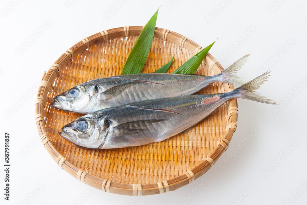 アジ アジ