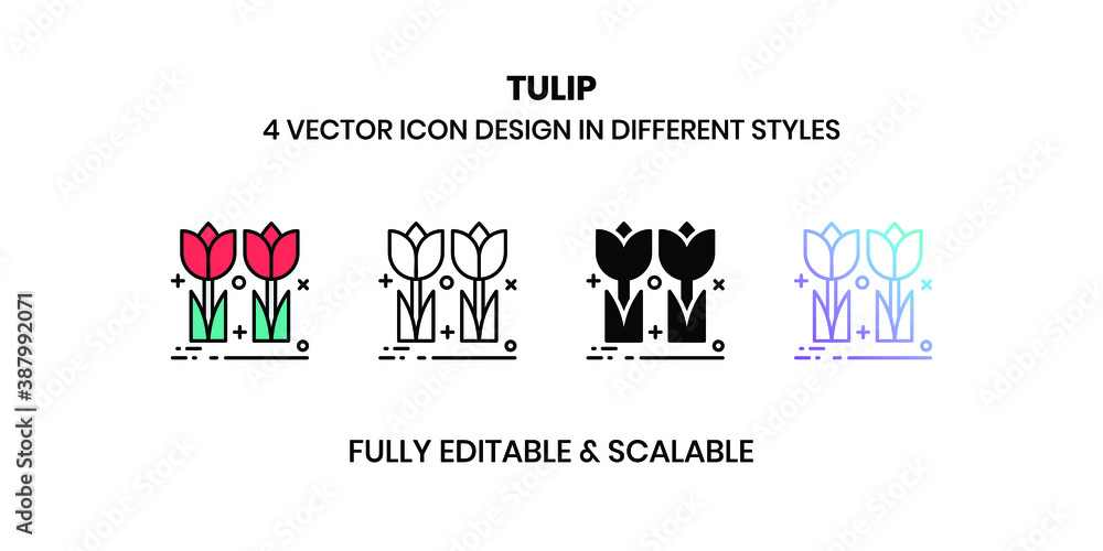 Tulip Vector illustration icons in different styles Tulip Vector illustration icons in different styles