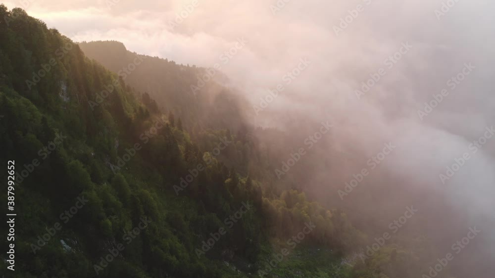 Steep hills of old large mountains covered with numerous coniferous trees and heavy white mist in early morning at sunrise light aerial panorama Steep hills of old large mountains covered with numerous coniferous trees and heavy white mist in early morning at sunrise light aerial panorama