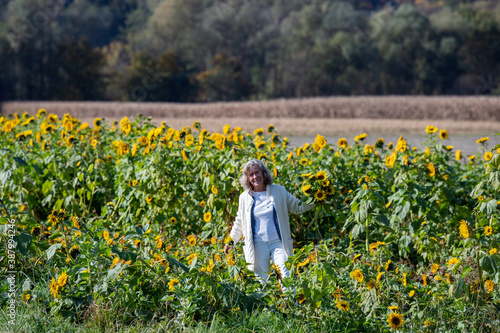 Aktive sportliche Rentnerin pflückt in einem Feld Sonnenblumen