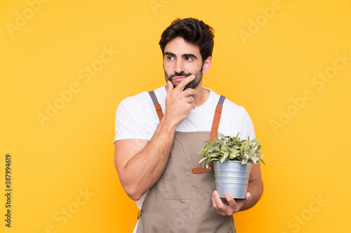 Bild auf Leinwand Gardener man with beard over isolated yellow background thinking an idea