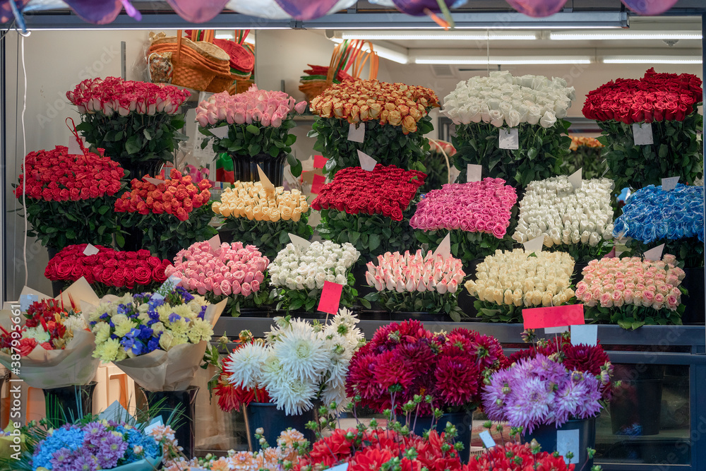 Colorful showcase of flower shop with large assortment of natural and fresh flowers