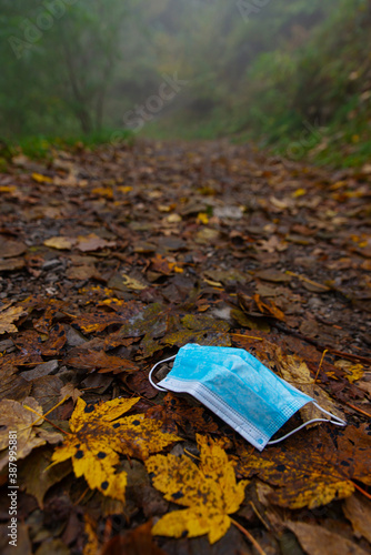 Blue surgical mask thrown into the natural environment