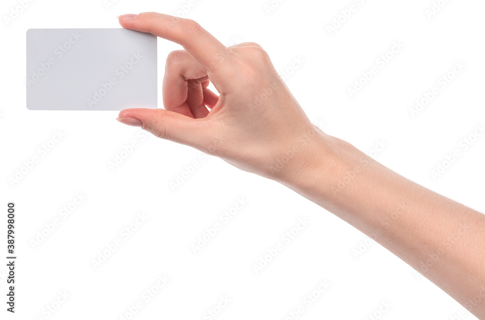 Female caucasian hands with blank business card isolated on white background. blank for designers Female caucasian hands with blank business card isolated on white background. blank for designers