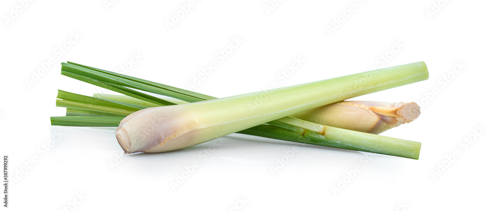 Lemongrass isolated on a white background Lemongrass isolated on a white background