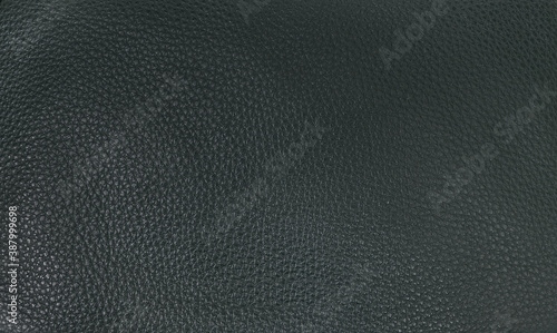 Wallpaper Mural Green natural leather, close-up, isolated background for design Torontodigital.ca