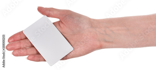 Female caucasian hands with blank business card isolated on white background. blank for designers © Илья Подопригоров