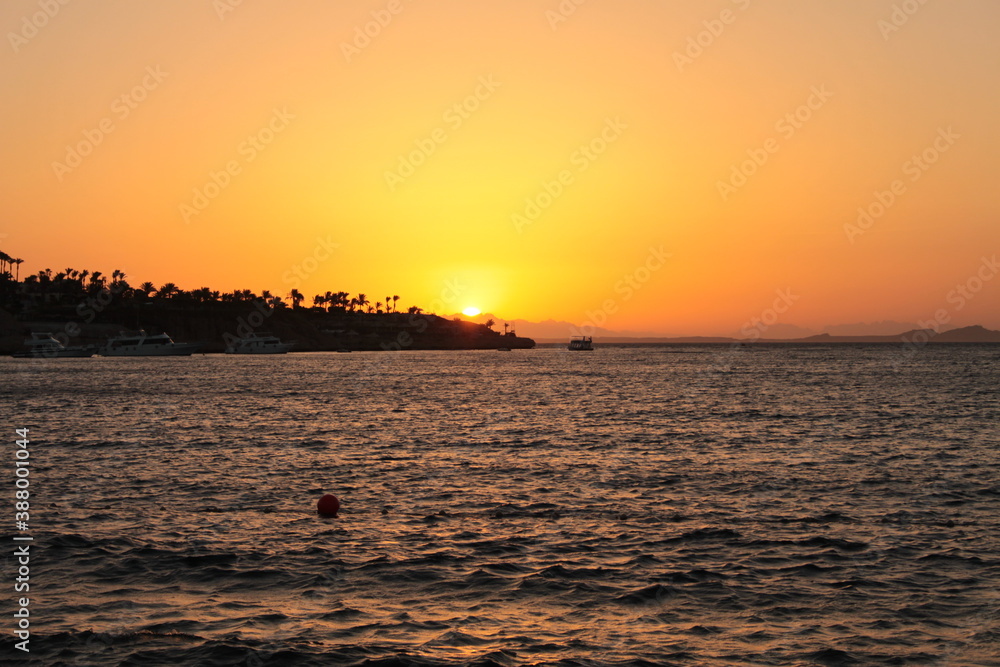 Naklejka premium sunset in Egypt