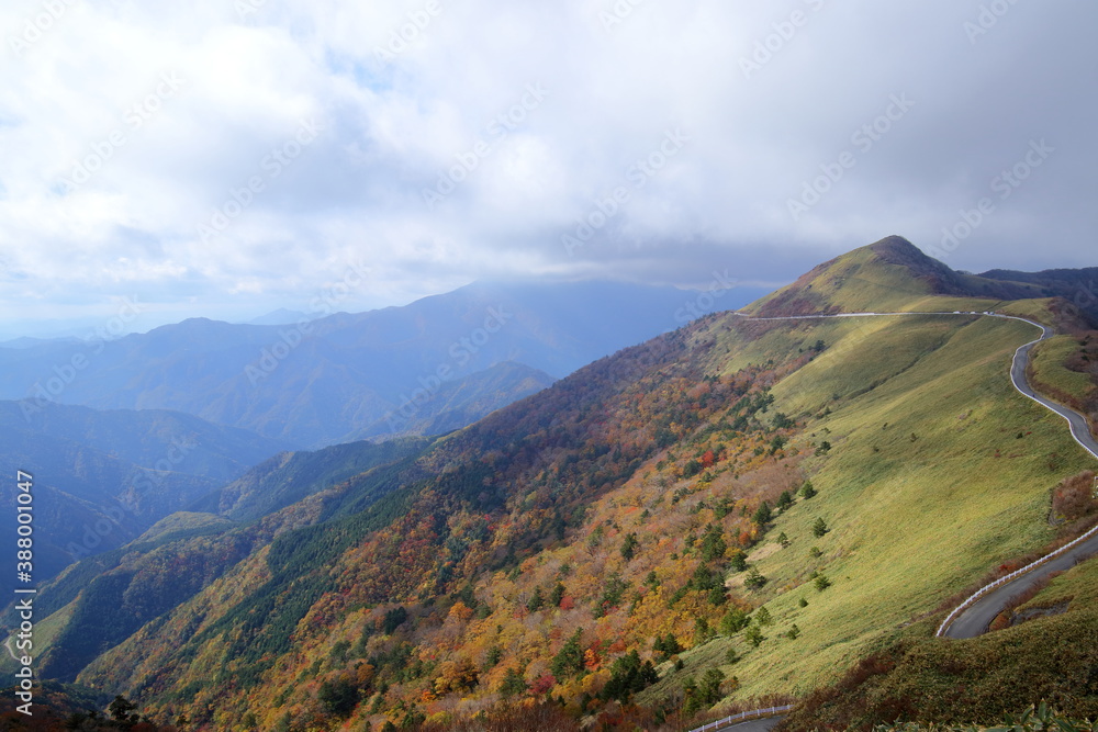 Fototapeta premium UFOライン ドライブコース 紅葉 (高知県 瓶ヶ森林道)