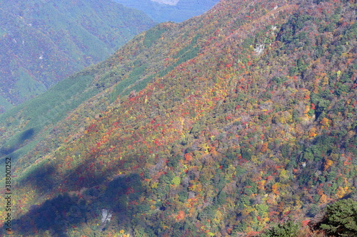 山の斜面を彩る 紅葉 （四国 瓶ヶ森山頂より）
