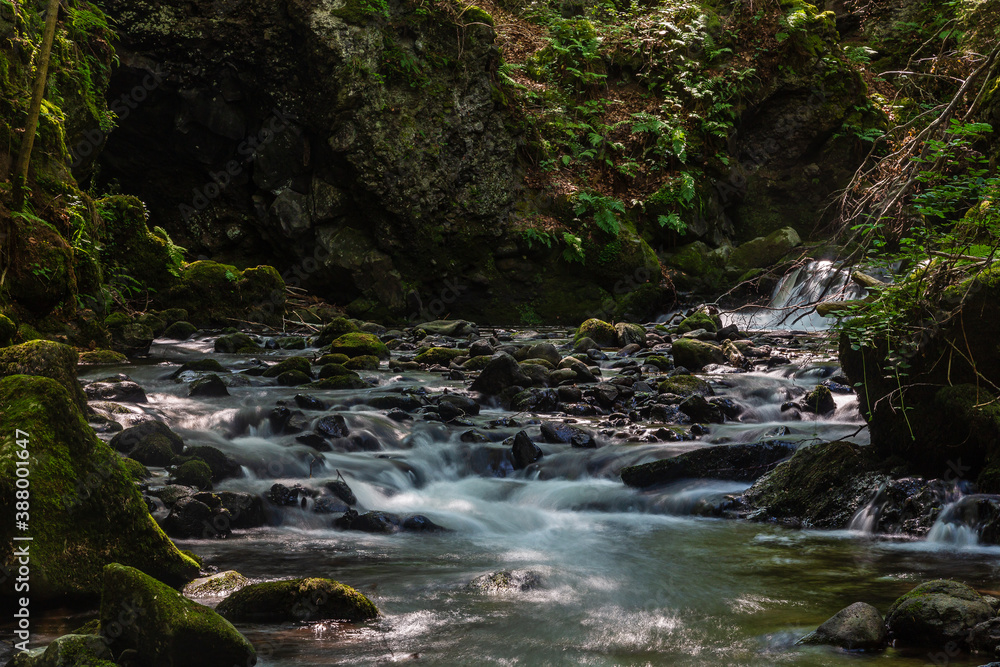 Fototapeta premium Auvergne