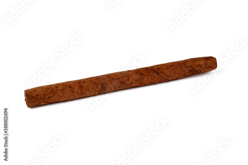 Cigar isolate on a white background, close-up, place for text.