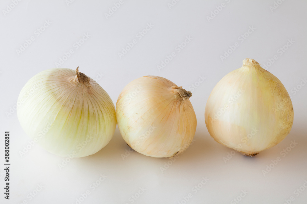 Fototapeta premium たまねぎ