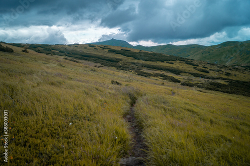 landscape in the mountains