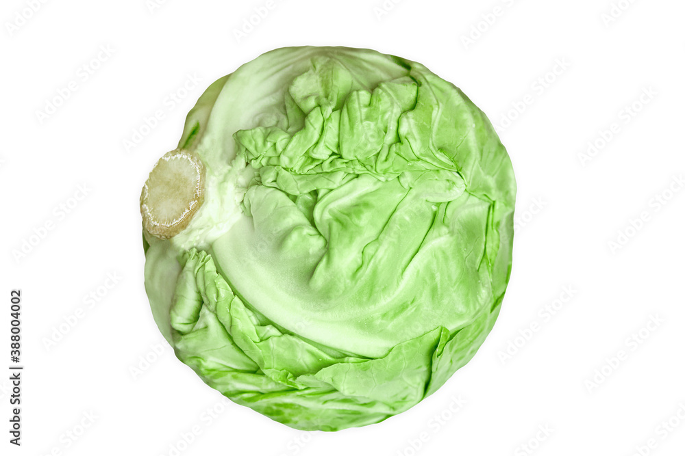 swing of pure green cabbage on a white background for salad. swing of pure green cabbage on a white background for salad.