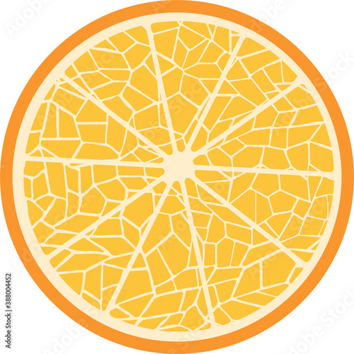 vector geometric stylized image of an orange