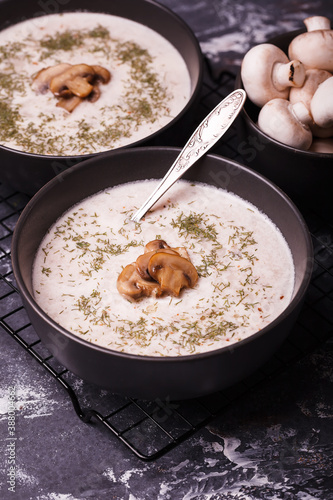 Mushroom soup. Soup with fresh mushrooms. Two plates of cream soup with vegetables