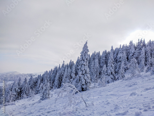 winter mountain landscape © Андрій Максимович