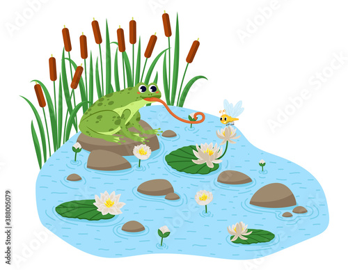 Cartoon style frog seamless pattern. Happy frog sit.