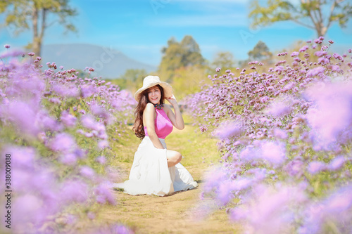 Asian beautiful woman, long hair in cute dress on Verbena filed in winter with blue sky. Beautiful cute girl portrait enjoying flowers in flowers farm background. Travel in nature outdoor concept.