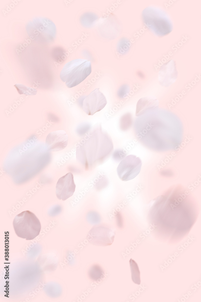 桜の花びら 桜の花びら