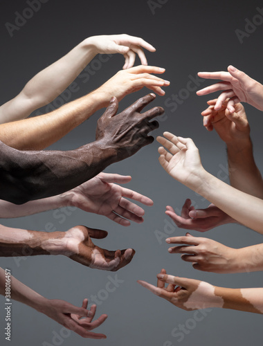 Humanity. Hands of different people in touch isolated on grey studio background. Concept of relation  diversity  inclusion  community  togetherness. Weightless touching  creating one unit.