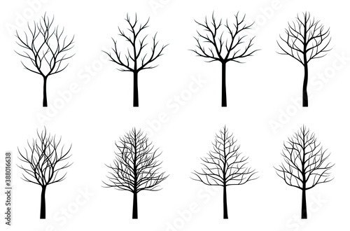 A set of black naked Trees. Vector outline Illustration. Plant and Garden.
