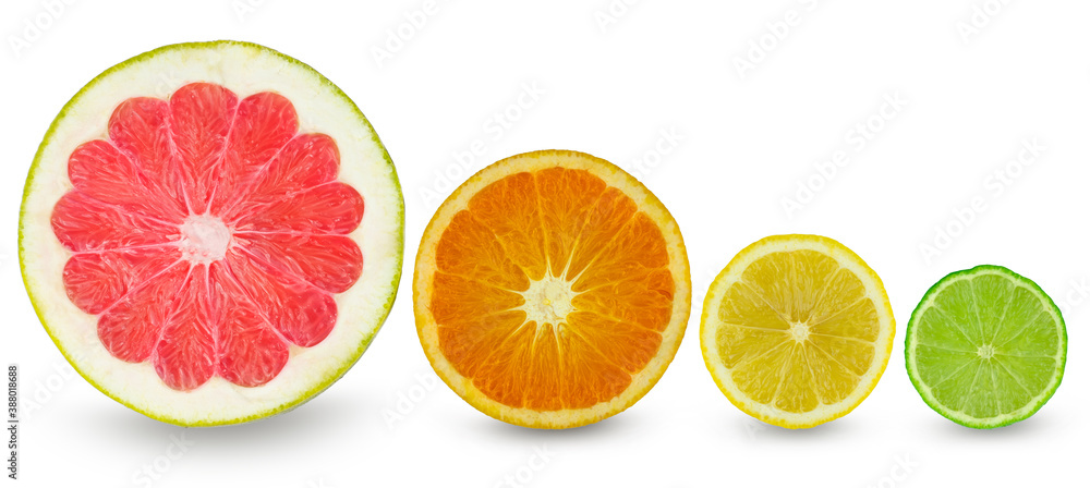 Citrus slice grapefruit orange lemon and lime isolated on white background