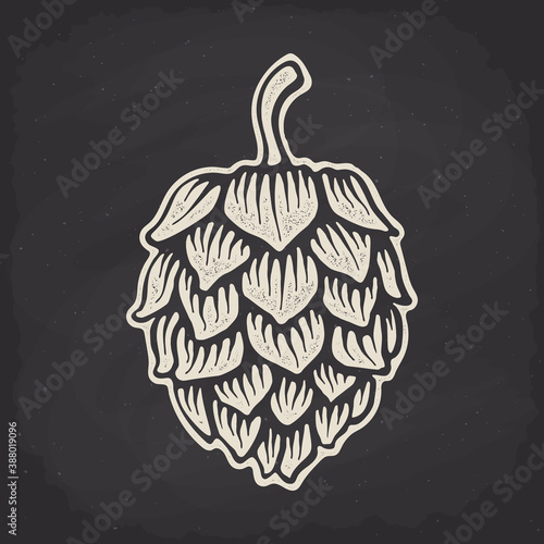Hop cone silhouette on chalk board. Vector illustration. Beer, pub and alcoholic beverage symbol. Clip-art for packaging, label, menu, signboard, showcase, logo or emblem. Isolated on black background