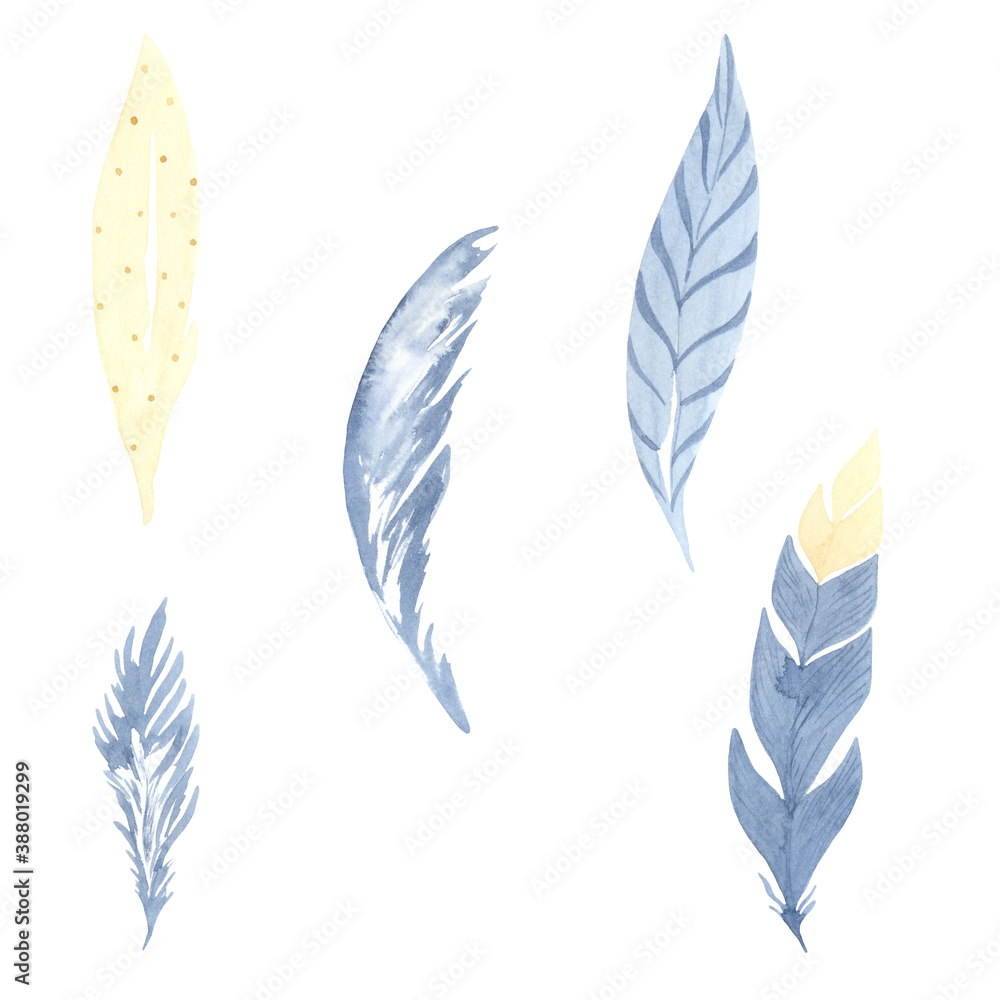 Watercolor illustration of a set of peacock feathers. Perfect for print, web, textile design, photo albums, planner, gift items and many other creative ideas. Watercolor illustration of a set of peacock feathers. Perfect for print, web, textile design, photo albums, planner, gift items and many other creative ideas.