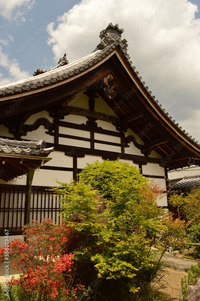 Exploring the temples and nature around Kyoto and Nara on Honshu island in Japan