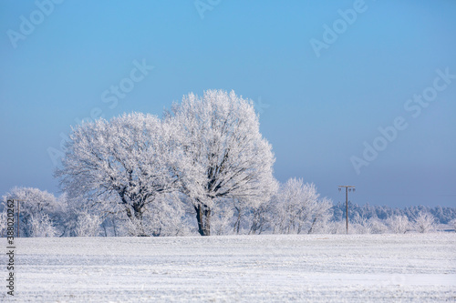 Winter Idyll In The North Of Germany