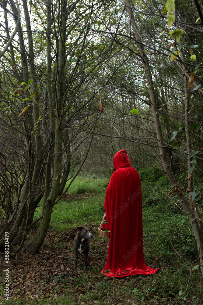 modelo caperucita roja en bosque