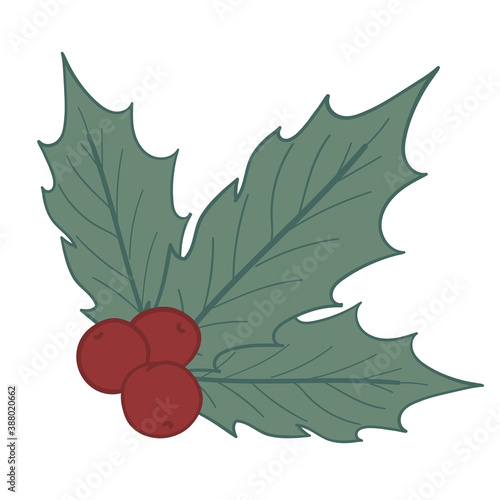 Holly berry. Christmas decoration element with berries and leaves. Xmas holiday symbol. Vector illustration.