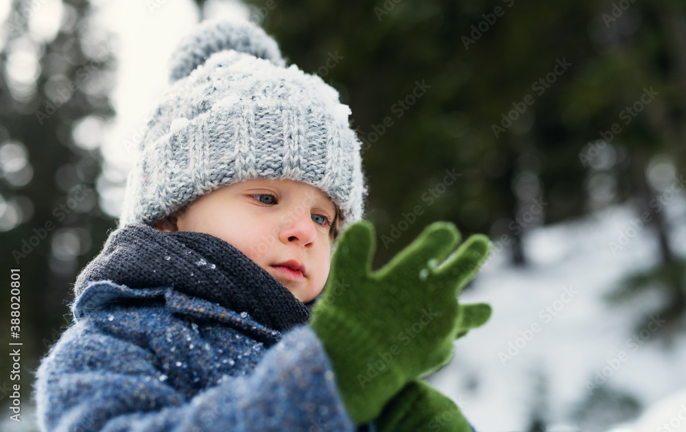 Front view of small child standing in snow, holiday in winter nature. Front view of small child standing in snow, holiday in winter nature.