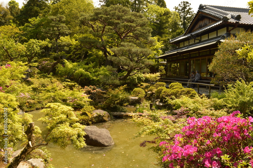 Exploring the beautiful temples and pagodas around Kyoto and Nara on Honshu Island, Japan