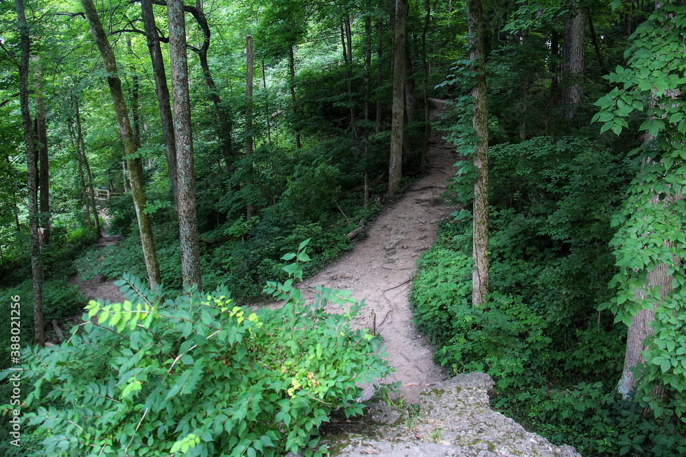 A fork in a hiking path in the woods surrounding the small town of Yellow Springs, Ohio offers hikers a choice of direction.