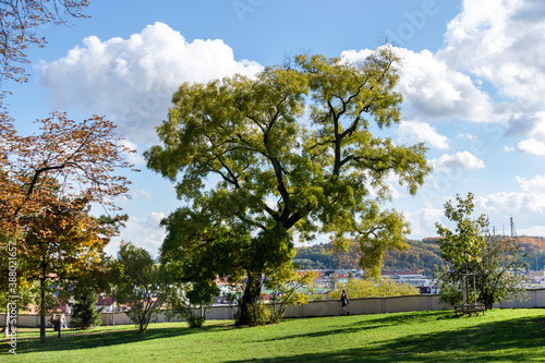 Fototapeta Naklejka Na Ścianę i Meble -  Public Park in Prague EU in Autumn colors