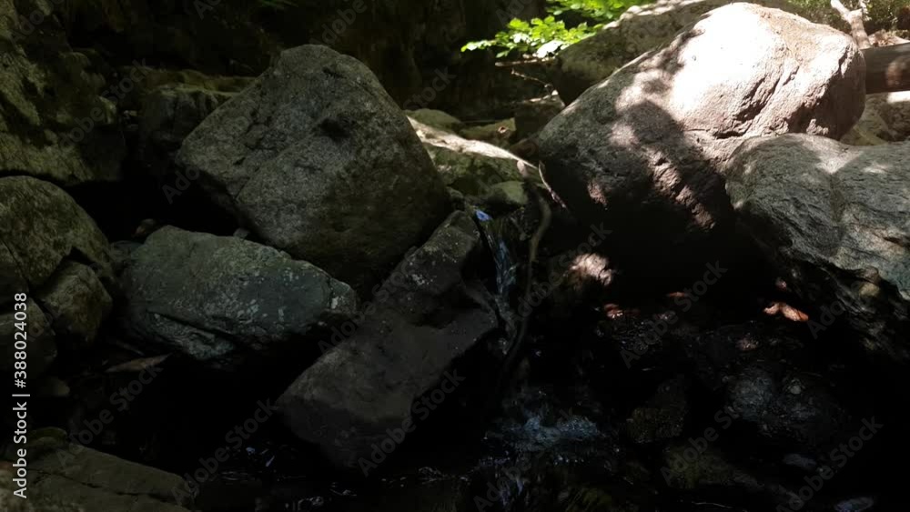 Mountain stream mossy creek. Beautiful clear water high mountain stream from springtime snow melt and natural springs. Scenic nature. Mountain stream mossy creek. Beautiful clear water high mountain stream from springtime snow melt and natural springs. Scenic nature.
