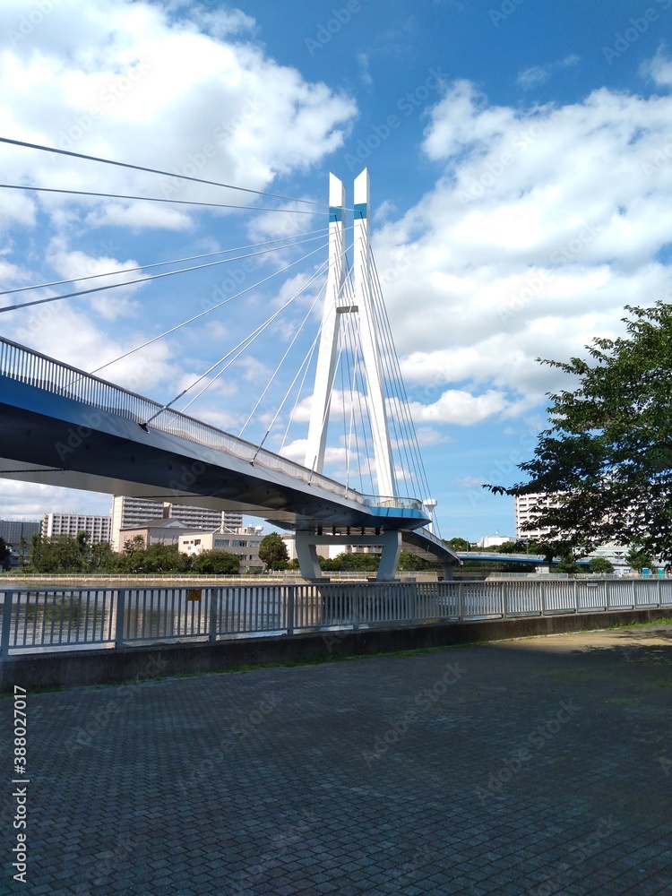 Fototapeta premium 辰巳桜橋 南側から札駅