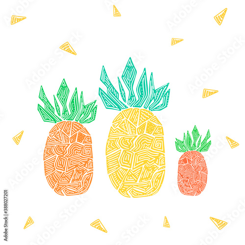 Illustration of pineapple fruits.