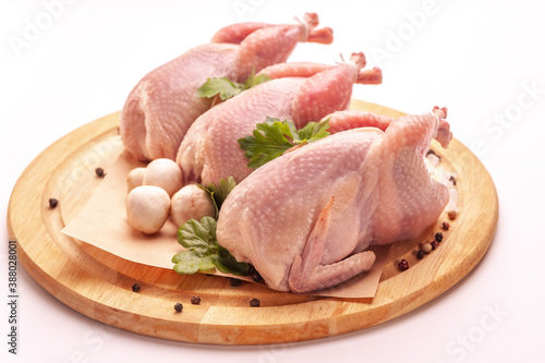 Raw plucked quail isolated on white background.