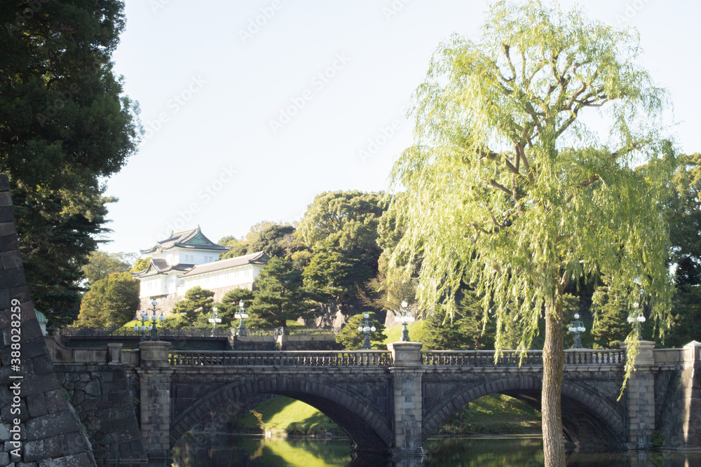 正門石橋と柳の木