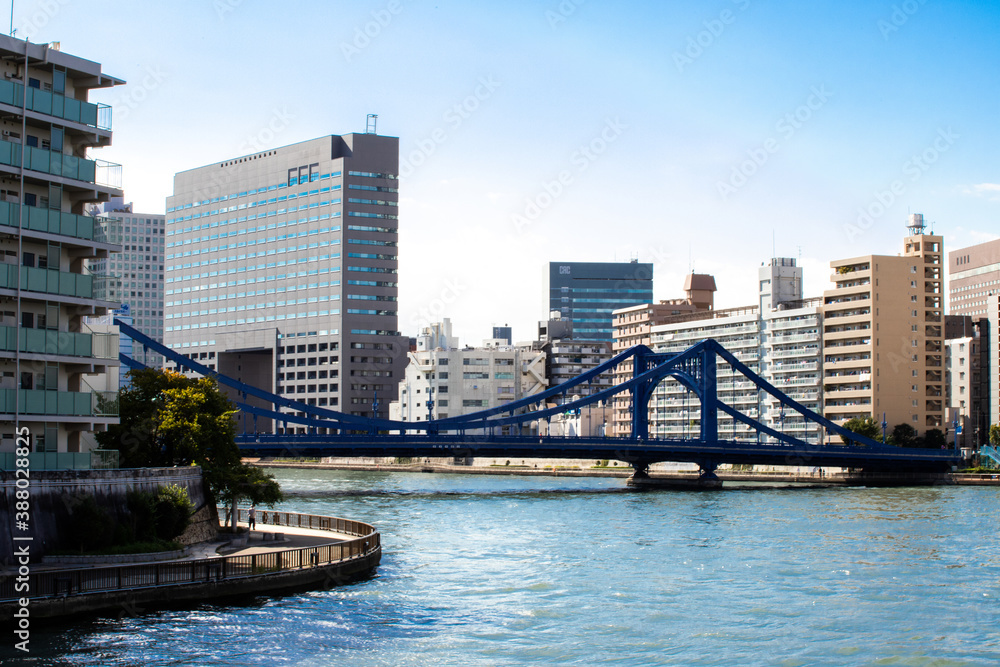 東京の青い橋