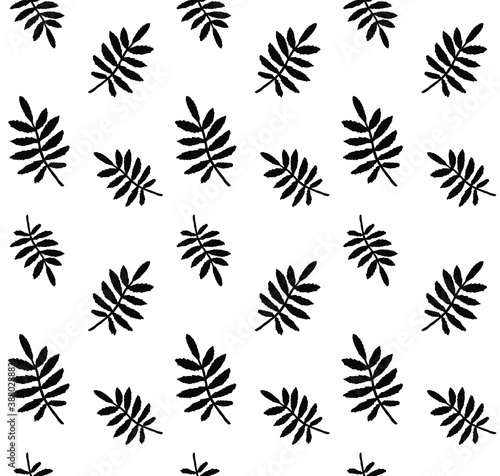 Vector seamless pattern of hand drawn rowan leaf silhouette isolated on white background