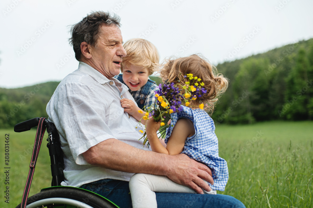 Φωτογραφία Small children with senior grandfather in wheelchair on a walk on meadow in nature